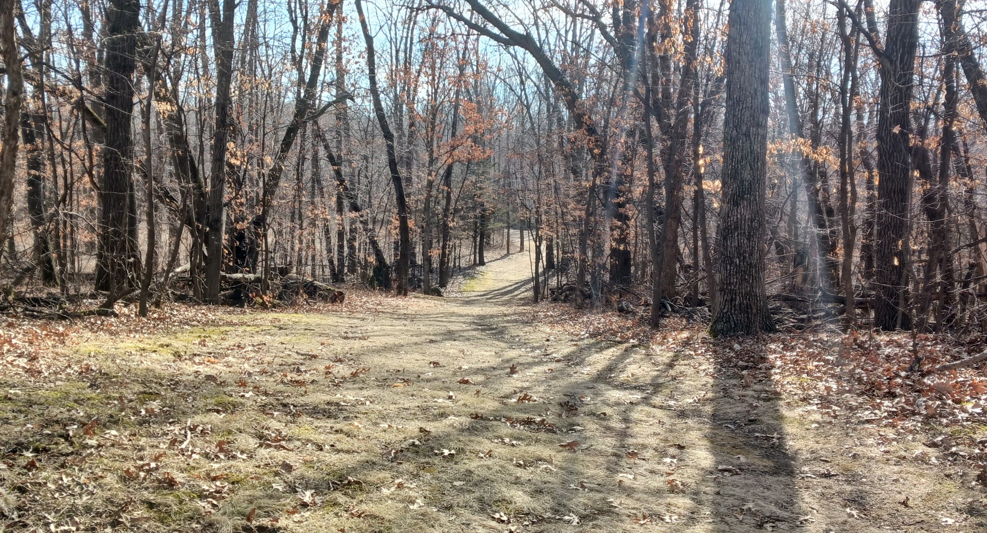 Woodland Trails Regional Park in Elk River, MN