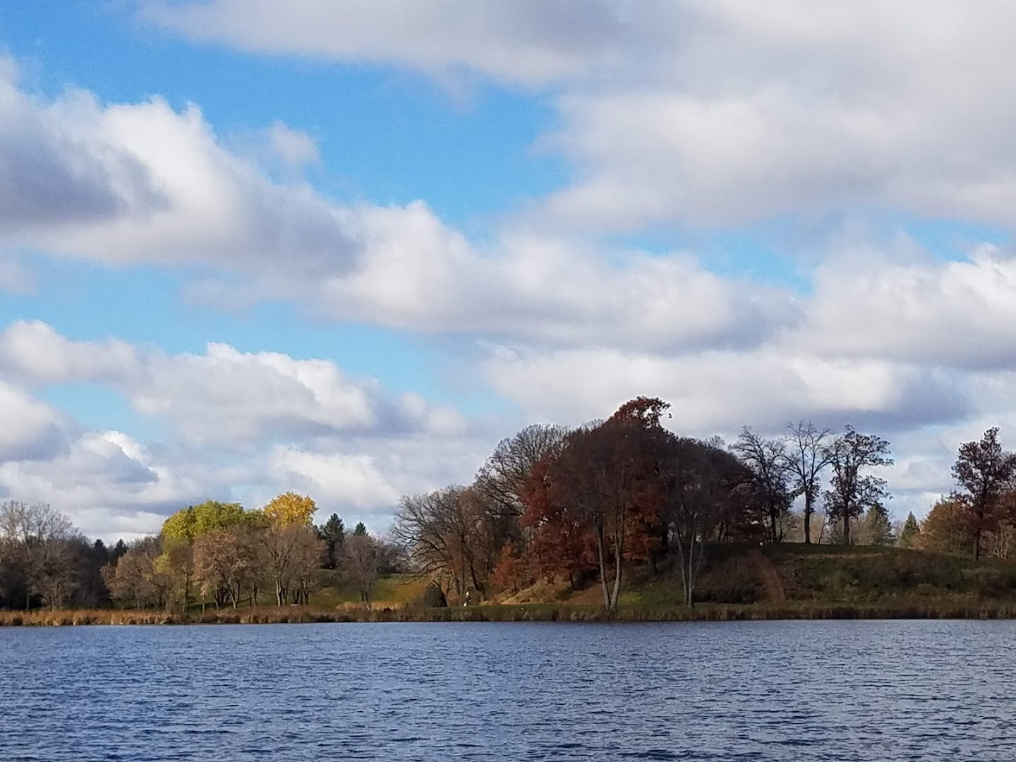 Shields Lake Park in Forest Lake, MN