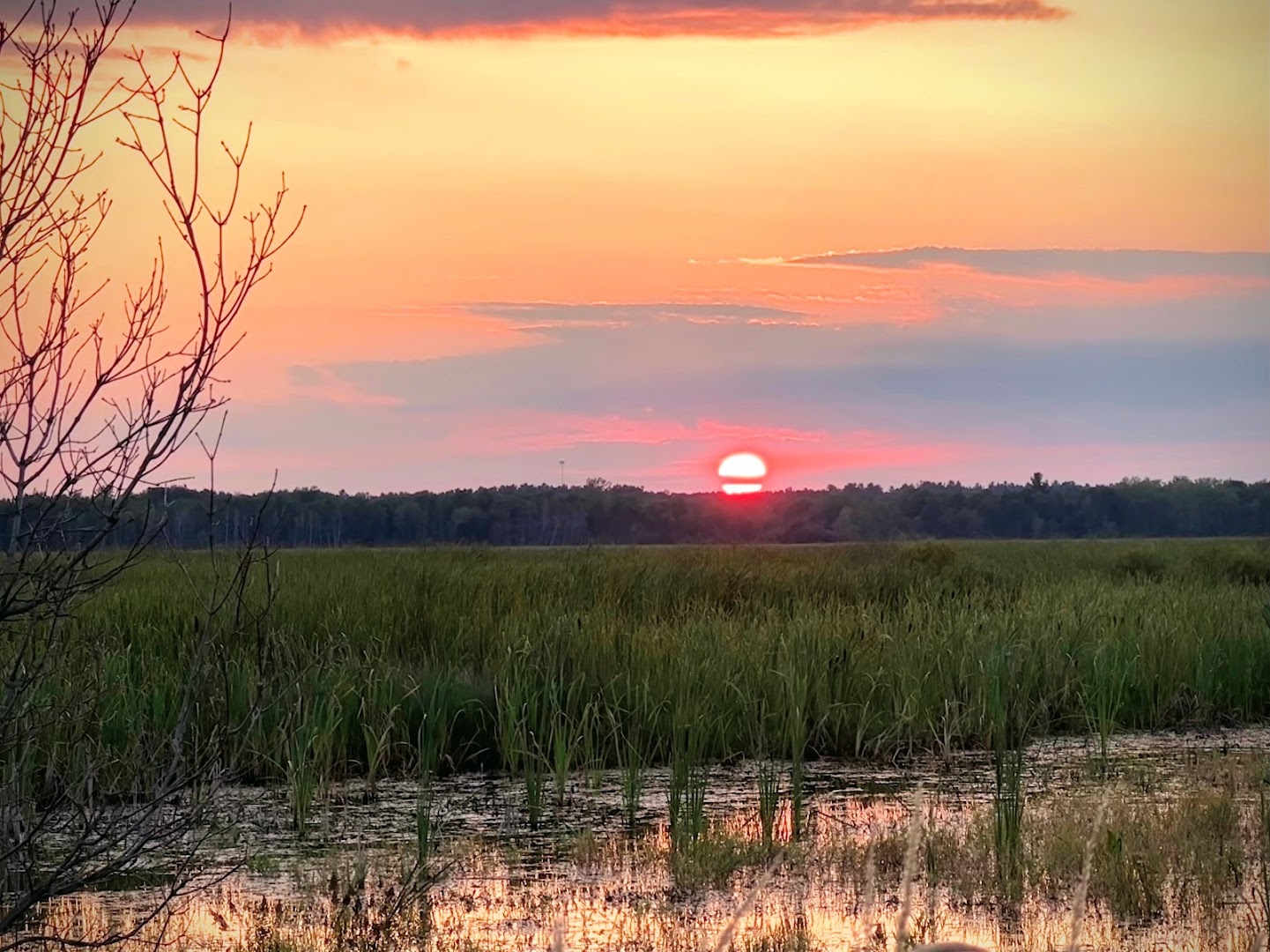 Marget Lake Wildlife Management Area in Isanti, MN