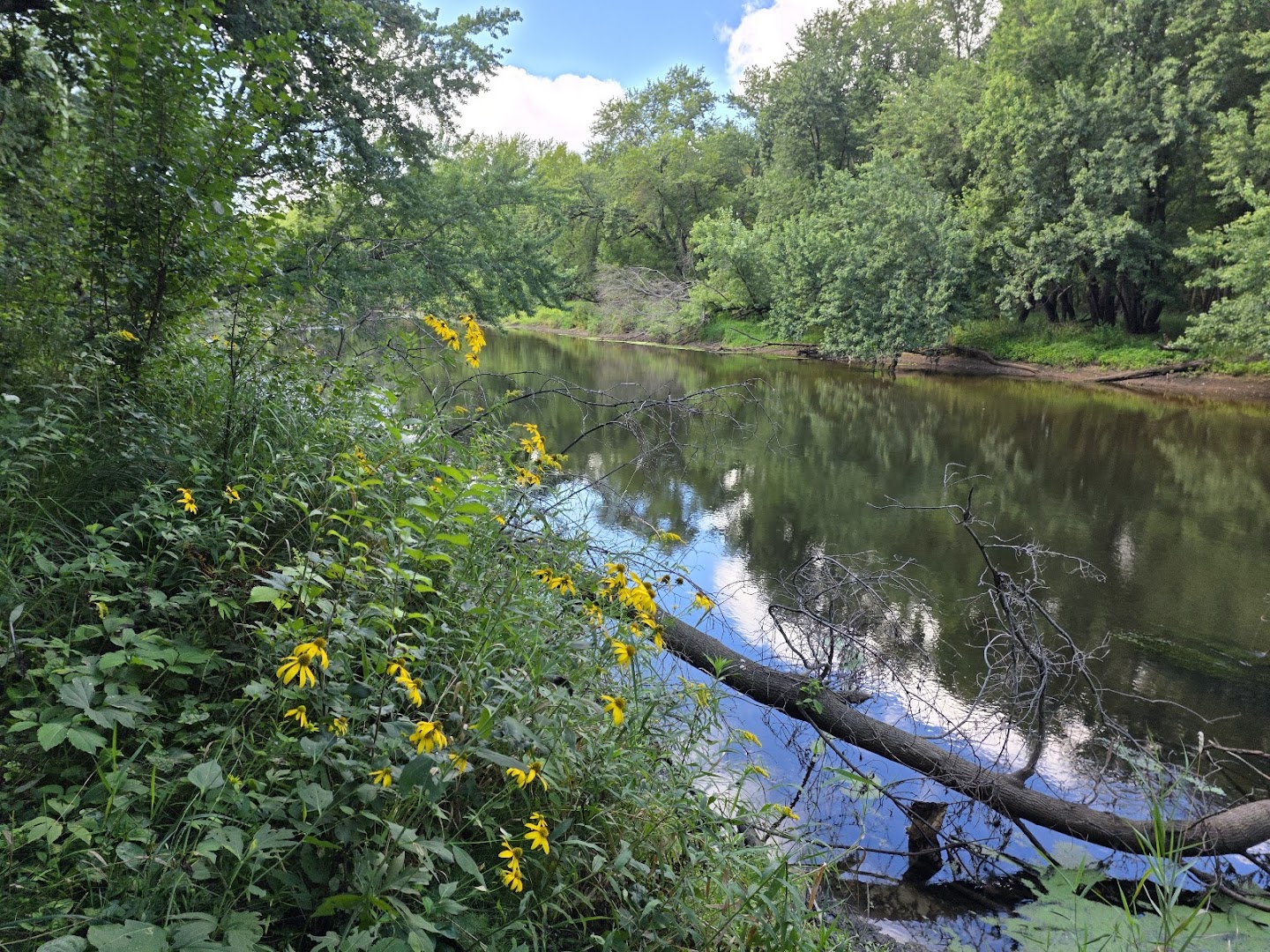 River Bluff Preserve in Isanti, MN