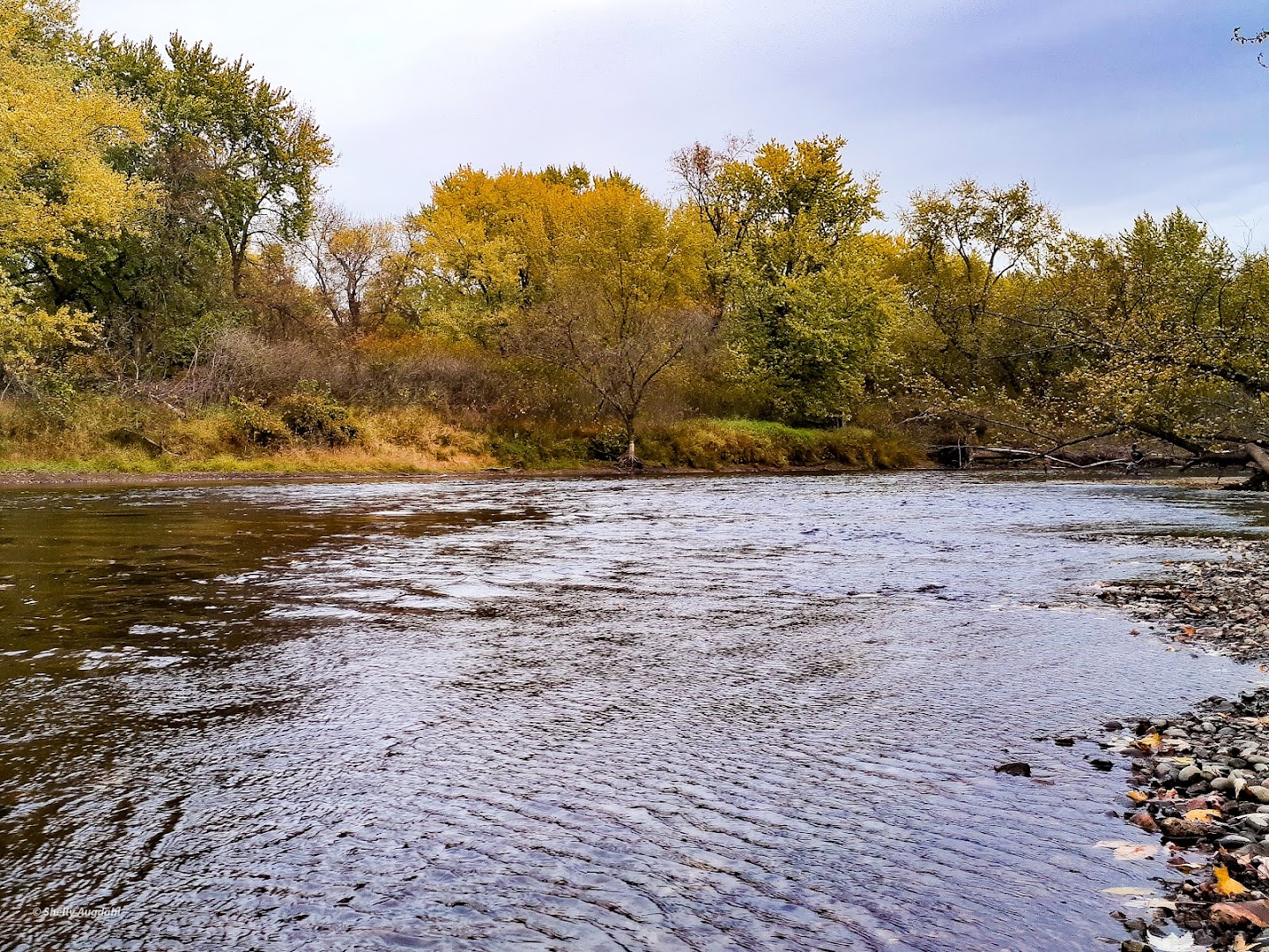 Rum River Central Regional Park in Ramsey, MN
